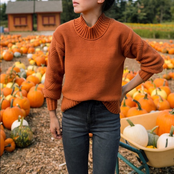 Everlane Texture Cotton Cable Sweater (Cider) - Picture 2 of 4